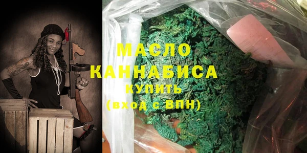 индика Киреевск