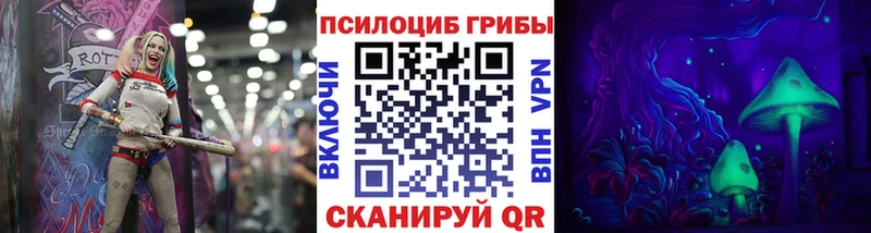 Псилоцибиновые грибы Psilocybe  Купить где  Домодедово 
